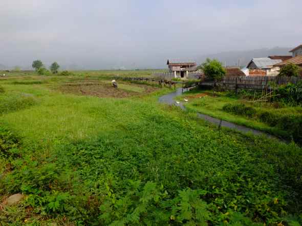 パンカム村への道1