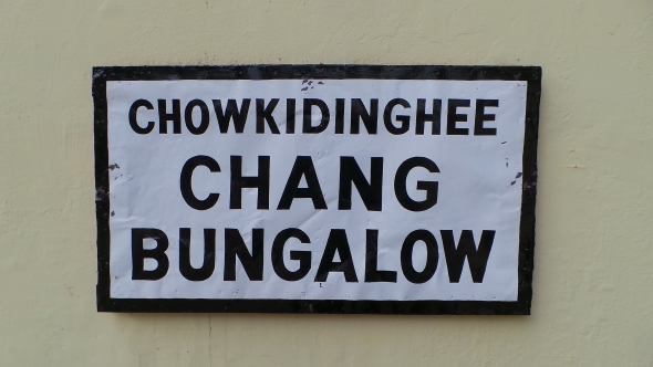 ディブルーガル3