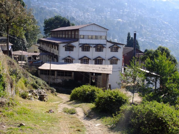 ダージリンティーの茶園訪問2