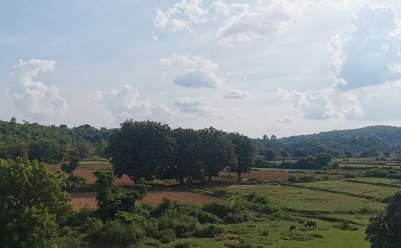 覆面優先特急列車