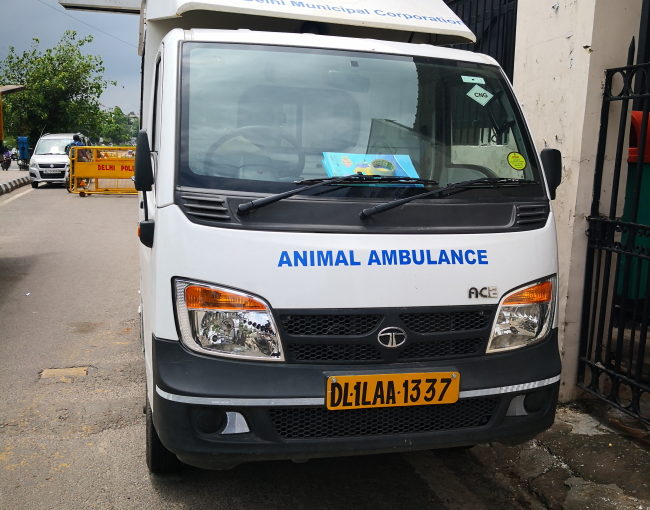 アニマル・アンビュランス