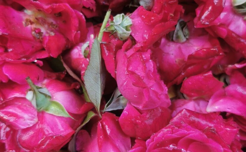 アジメール・シャリーフ・ダルガーとアダーイー・ディン・カー・ジョーンプラー