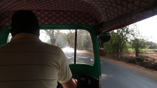 ダーンディー・ビーチ 「塩の行進」の海岸