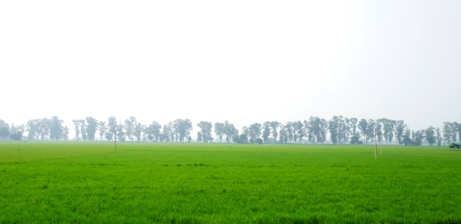 パンジャーブは水路の賜物