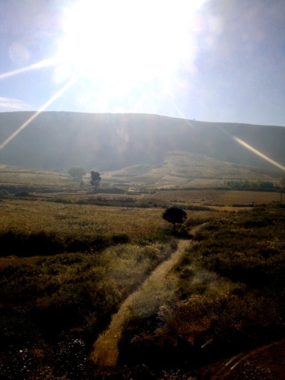 コーラープト 1　近郊のコートパドへ