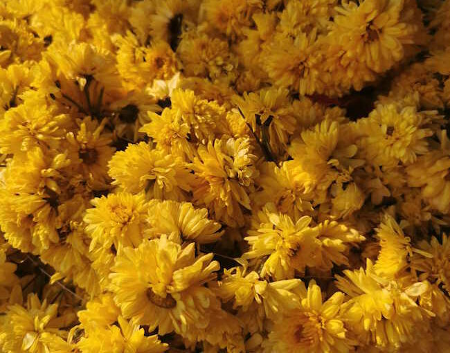 聖俗混在の寺院