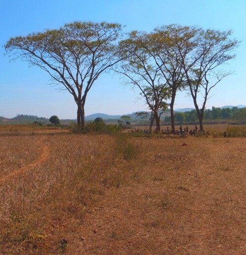 部族の人々の木曜市 2