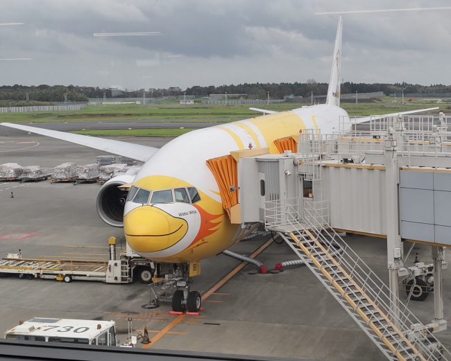 ノックスクート