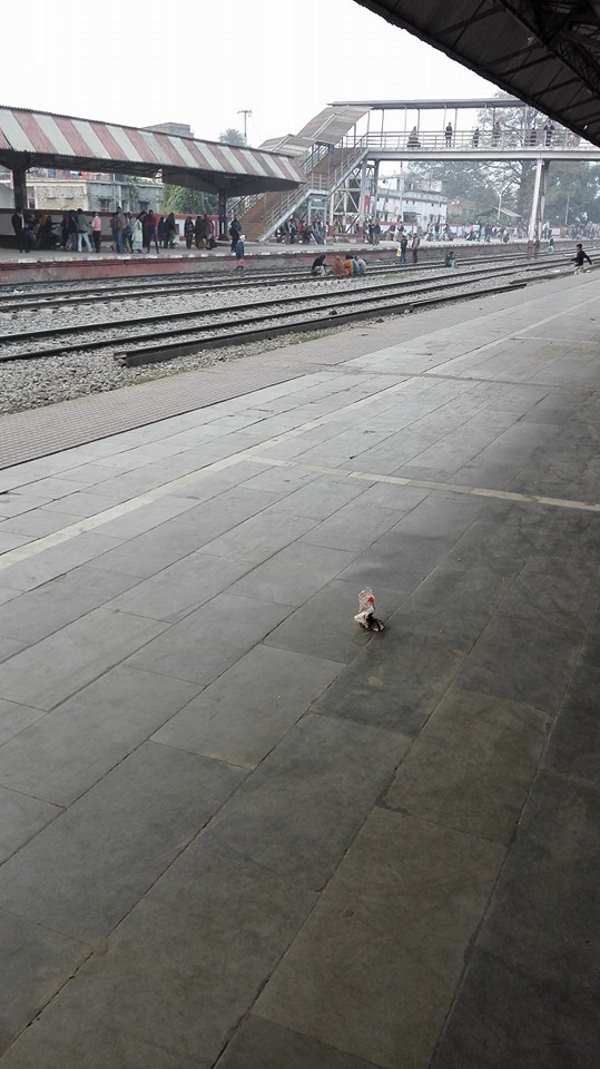 モーティハーリーからゴーラクプルへの鈍行列車