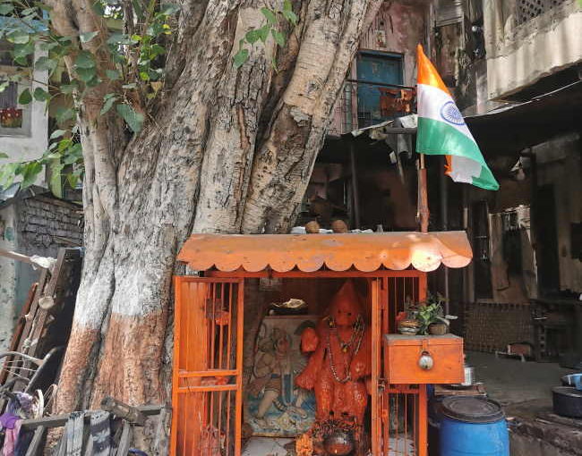 木のたもとに宿る神性①