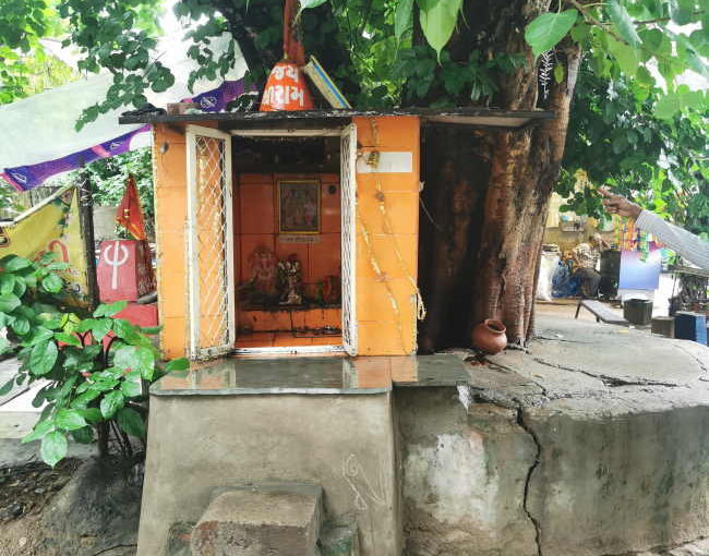 木のたもとに宿る神性③