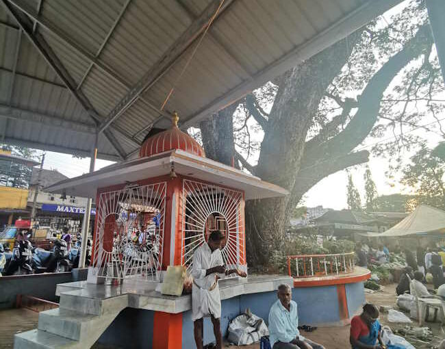 大樹のたもとに宿る神性