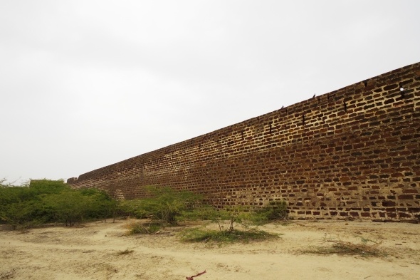 カッチ地方西部4 〈ラクパト〉